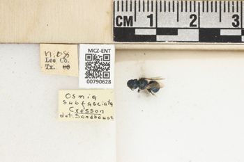 Media type: image;   Entomology 790628 Aspect: Labels